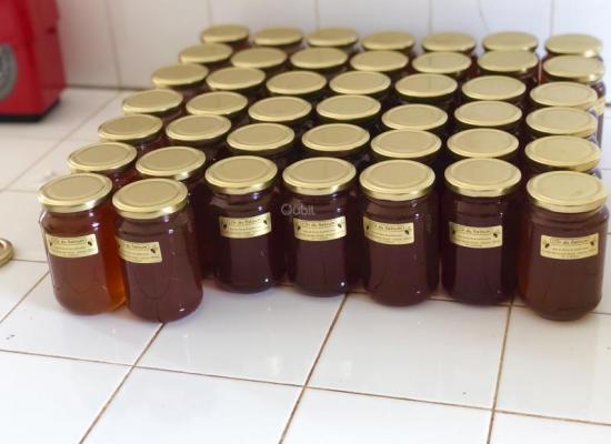 Vente de miel de mangrove (L’or du saloum)