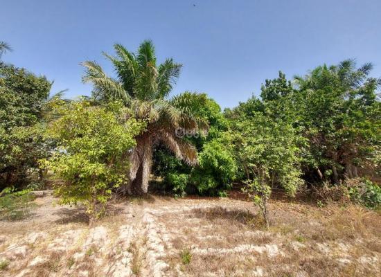 A vendre – Terrain exceptionnel au Cap Skirring, à deux pas de la plage