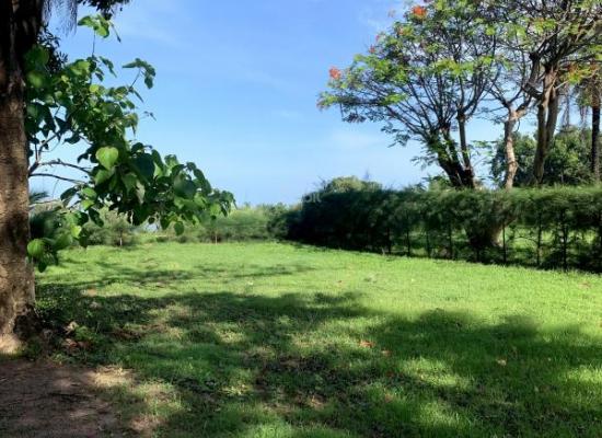 Terrain à vendre à Cap Skirring – Une opportunité rare ! Lot 3
