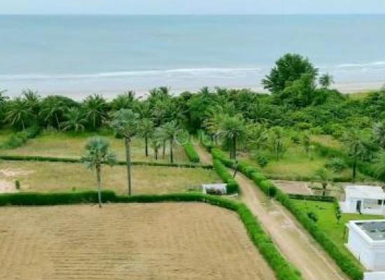 À vendre : magnifique terrain de 760 m² situé à Cap Skirring lot29