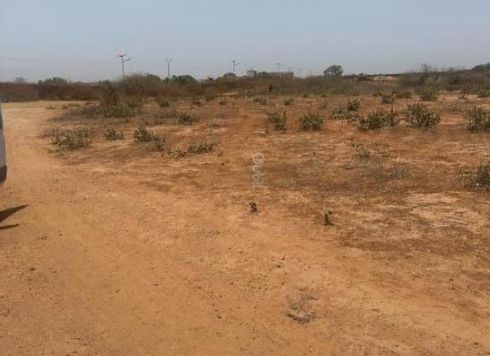 Terrains de 225 m2 à LElO non loin de Diass